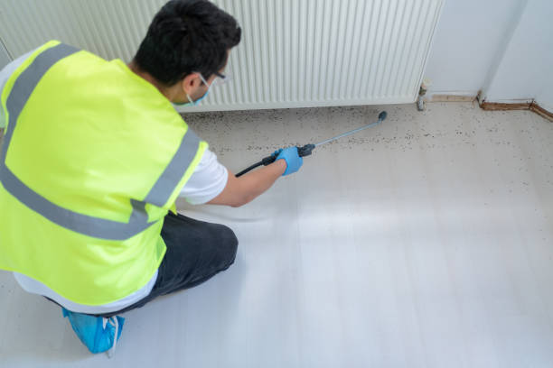 Best Real Estate Pest Inspections  in Sisco Heights, WA